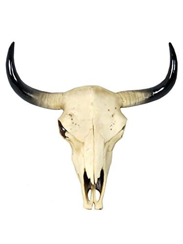 Sassy HomeJG016 Small American Desert Cow Skull Wall Ornament, one Colour, 29.5 x 31.5 x 11cm