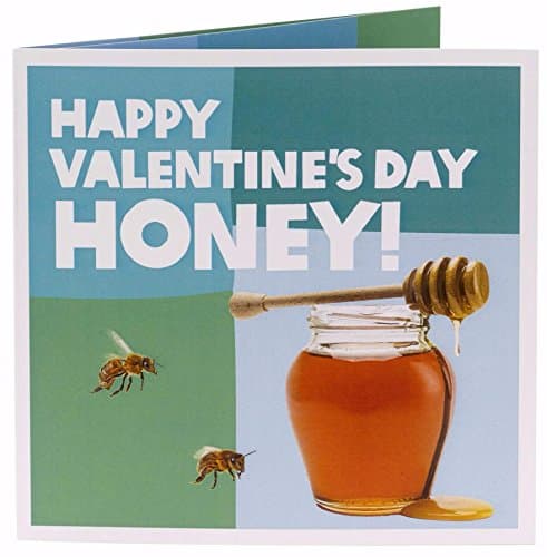 Oxfam Unwrapped Valentine's Honey Bees Charity Gift
