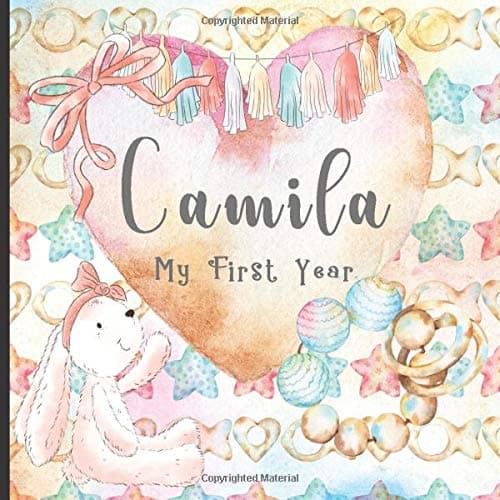BabissimoCamila: Record and Celebrate Your Baby's 1st Year With This Baby Milestone Journal