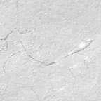 Handmade Decorative Paper Printable White Silk with Silver and Silk Threads (Set of 50), (90 GSM, 8.5"x11")