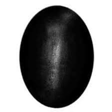 Natural Shaligram Shila Saalagram 62 Gram