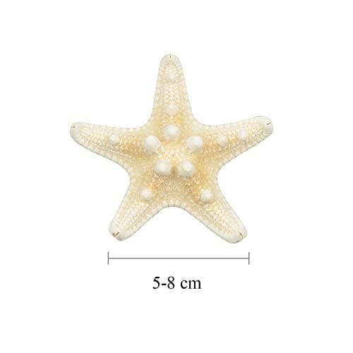 10PCS Real Starfish Mixed Ocean Beach Starfish Natural Colorful Seashell Starfish Perfect for Wedding Decor, Beach Theme Party, Home Decoration, DIY Craft Project, Fish Tank, Holiday Decoration