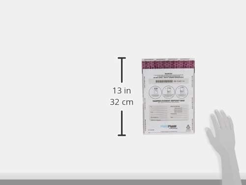 MMF Industries FREEZFraud Deposit Bags, 9 x 12 Inches, 100 Bags Per Pack, White (236210306)