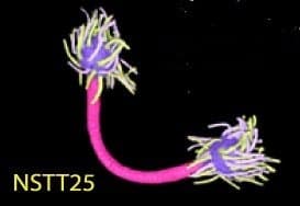 A Cheerful Pet Mini Tugzee for Two Wool Dog Toy in Dark Pink