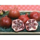 Fresh Pomegranates - Medium to Large Size [Set of 3]