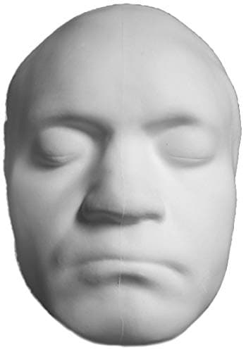 Torino Perspective Flat Back Bethoven Face for Artists,Decor, Display, Teaching Aid and Art Class