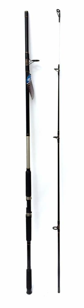 Jarvis Walker Aurora 10ft Surf Rod 2 PC 4-6oz
