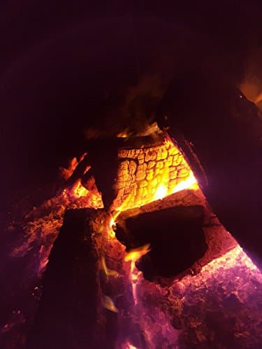 Hardwood Firewood Kiln Dried Logs 10 x Large 40 L Nets (400L in Total), 25cm Long, Perfect for Open Fire Stoves, Log Burner, Fire Pits, Pizza Ovens Fast Delivery (10 x 40L Nets) (10 X Nets)