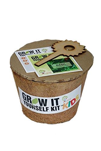 Upaj Grow It Yourself Veg Large Italian Basil Kit (Pack Of 1)