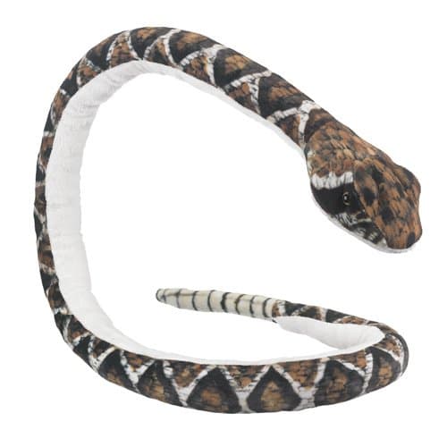 Wildlife Artists Nature Planet Rattlesnake