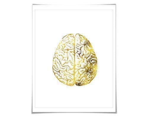 Human Brain Anatomical Gold Foil Art Print. 7 Foil Colours/3 Sizes. Medical Anatomy Doctor Science Poster.