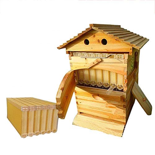 TANCEQI Beekeeping Wooden House Beehive Boxes Auto Frame Comb Bee Hive for Beekeepers Frames Cedarwood Brood Supplies Keeper Complete Box Kit