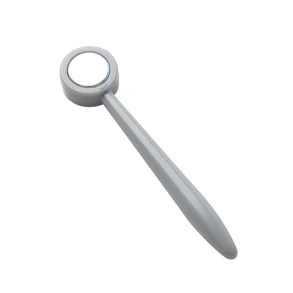 Nail Magnet Tool Set With Double Head Flower Design Nail Magnet Pens And Strong Nail Art Tools(C,Free)