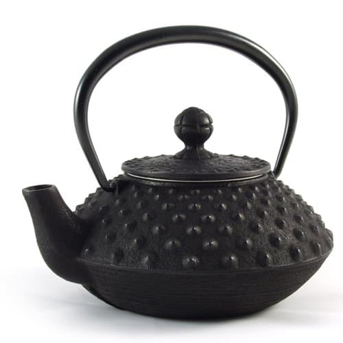 Iwachu Japanese Cast Iron Arare Tetsubin Teapot in Black - 350 ml