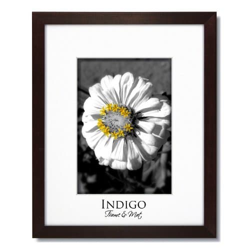 SET of 3 - 16x20 Dark Walnut Frames and Glass with Single White Mats for 12x16.