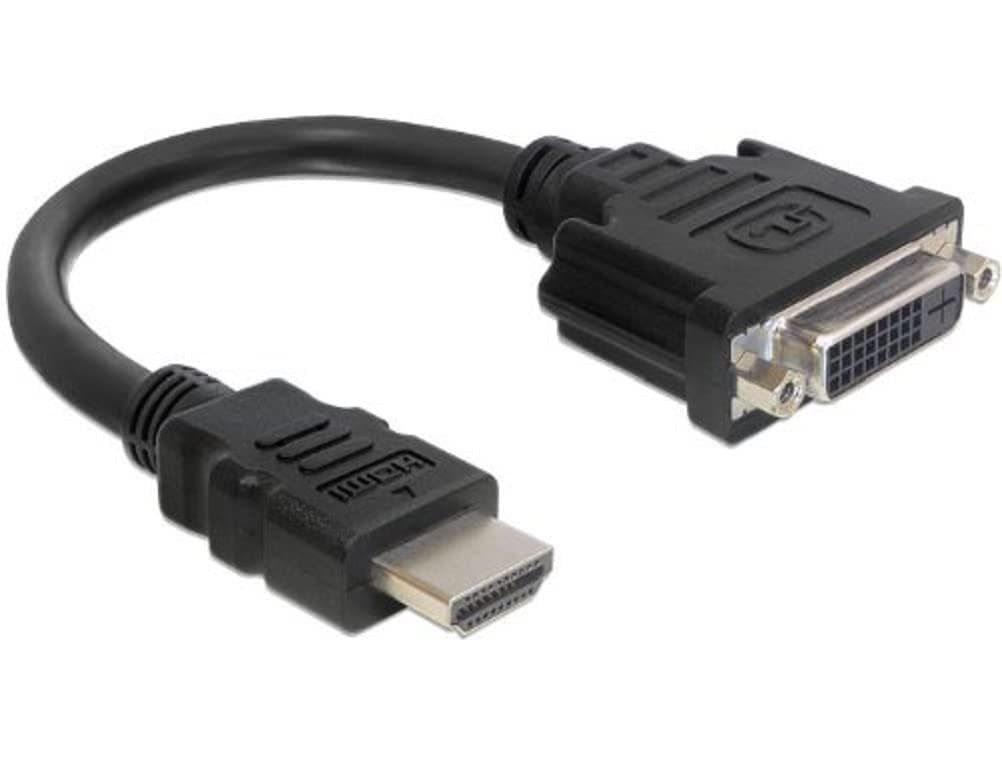 Delock Adaptor Cable HDMI Male to DVI 24+1-Pin Female