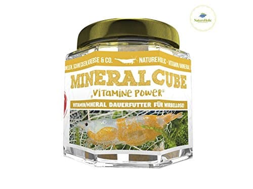 NatureHolic - MineralCube 'Vitamins Power' – 47 ml – Mineral Supply + Holiday Food