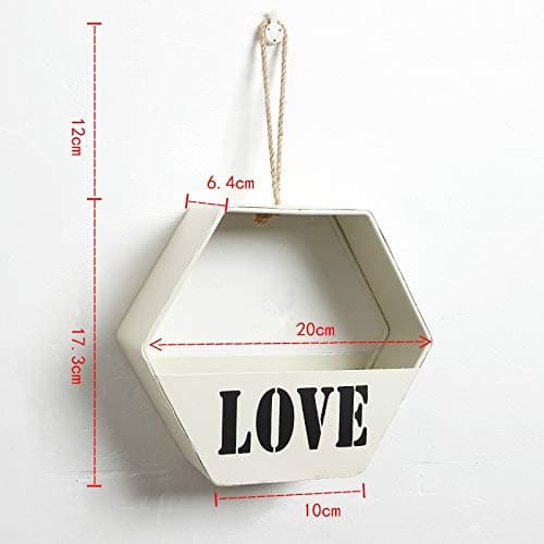 Hanging Geometric Planter Basket for Artificial flowers Display Metal Floating Pot Holder for Succulent Vine Wall-mounted Garden Décor Plant Storage Container Organizer Indoor Outdoor (Hexagon, White)