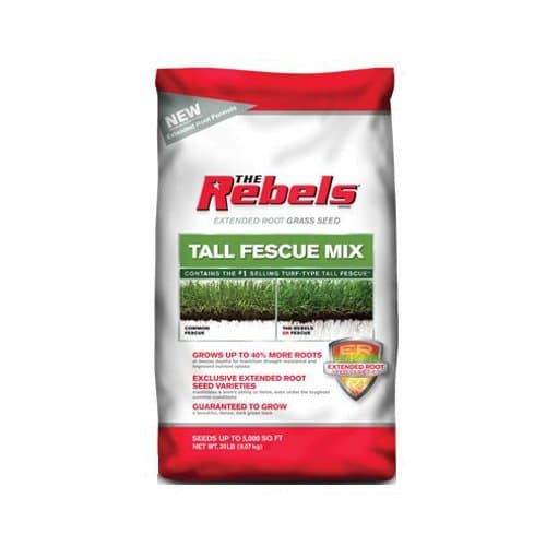 Pennington 100086592 The Rebels Tall Fescue Grass Seed, 20-Pound