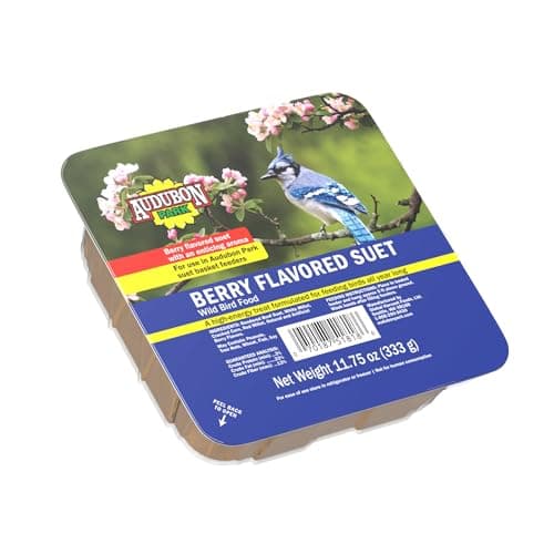 Audubon Park 13066 Berry Treat Suet Cake Wild Bird Food, 11.75-Ounces