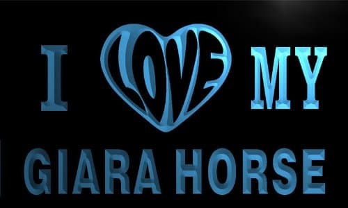 va3331-b I LOVE MY GIARA HORSE Neon Light Sign