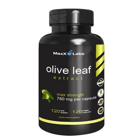 Olive Leaf Extract - Support Immune System & May Help Cardiovascular Health - Premium Antioxidant Supplement Pills - 750mg -120 Capsules