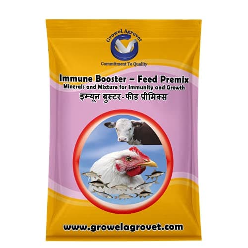 Agrovet Immune Booster Feed Premix: an Ultimate Immunity Booster and Growth Promoter for Aquaculture, Poultry, Cattle, Horses, Pigs, Goats and Sheep -1 Kg