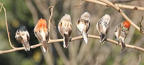 lwingfly Artificial Simulation Foam Bird, Sparrow Ornaments DIY Craft For Wedding Decoration Party Accessories 10cm (6)