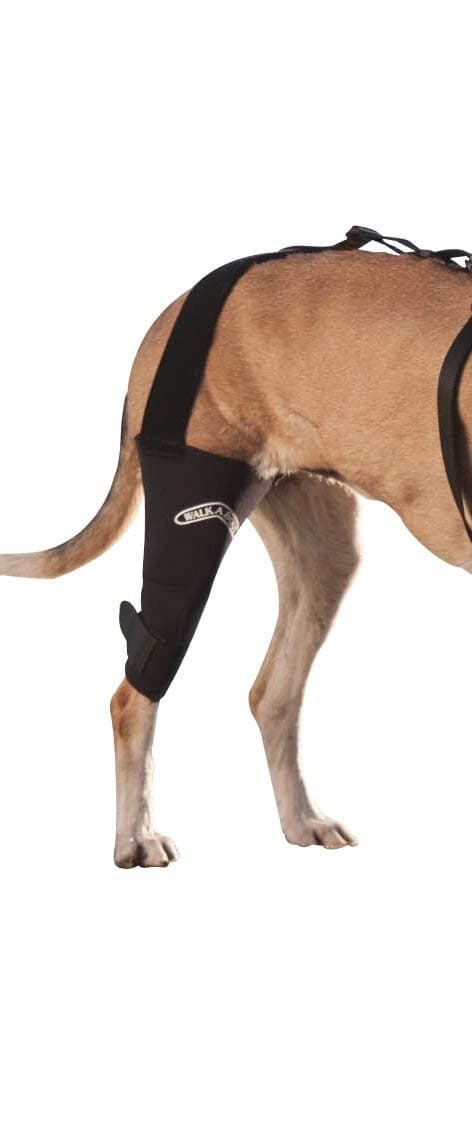 Canine Knee Brace 3.0 mm neoprene support sleeve (ML LEFT)