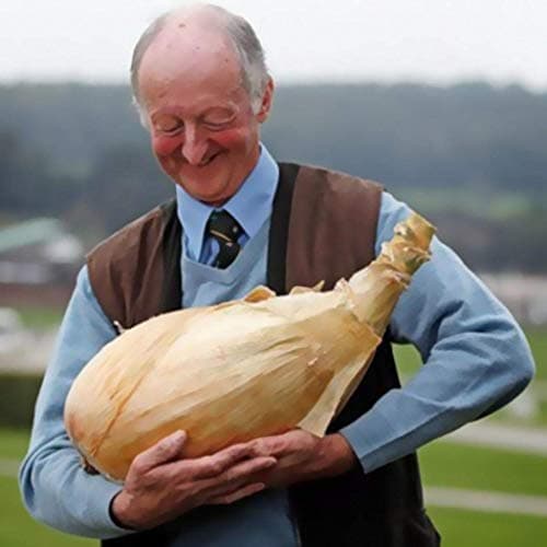 Giant Onion Seeds"Largest Onion in The World" Organic Onion Seeds Onion Winter Hardy Perennial (20)