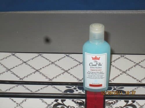 THE COOL FIX LE SOIN FRAICHEUR TARGETED GEL LOTION 1 OZ