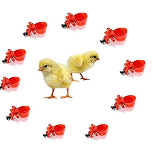 10Pcs Automatic Feed Poultry Water Drinking Cup Chicken Drinker // 10pcs aves de corral de alimentación automática bebedor de vaso para beber agua de pollo