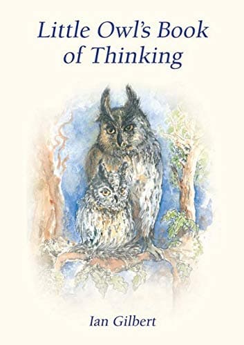 Little Owl's Book of Thinking: An Introduction to Thinking Skills
