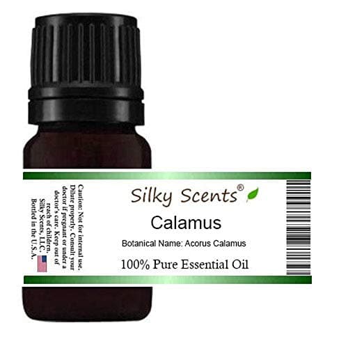 Calamus Essential Oil (Acorus Calamus Sweet Cane Sweet Flag) 100% Pure and Natural 15 ML