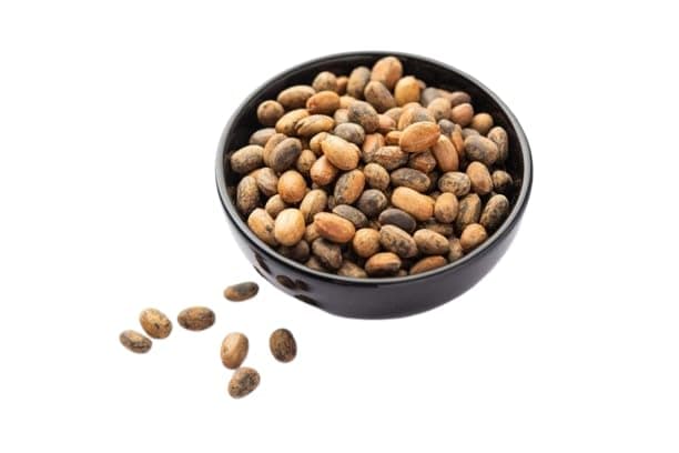 jamalgota | croton tiglium | jamalghota | croton beej - 8Oz|227g