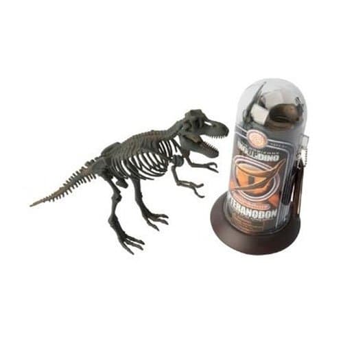 Tyrannosaurus Rex Dinosaur Fossil Set