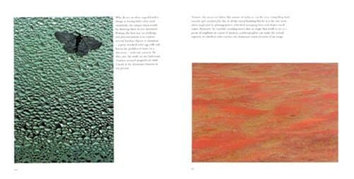 Photographing the World Around You