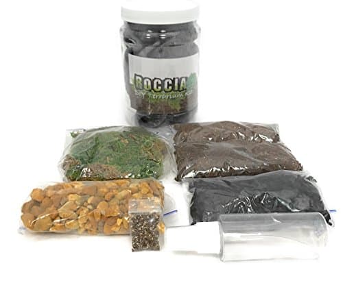 Terrarium Essentials Kit | Succulent Planter | Fairy Garden Supplies | Includes Container and Mister