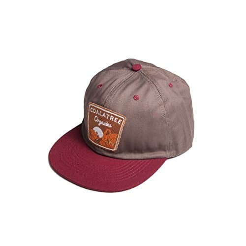 Coalatree Organics Men's Slick Rock Hat