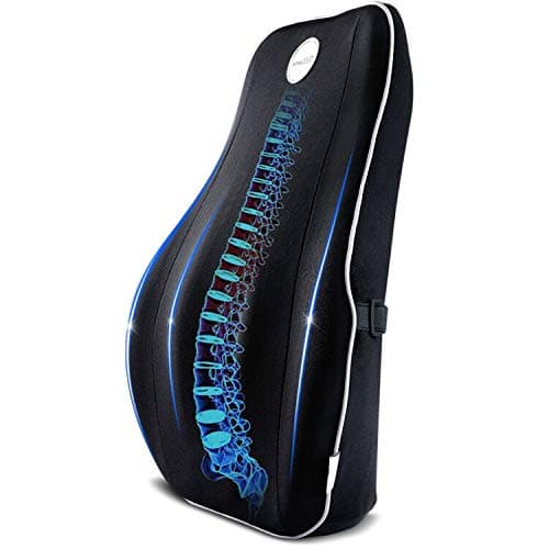 Villsure Lumbar Support Pillow, Memory Foam Back Cushion for Lower Back Pain Relief with Adjustable Elastic Belt, Ergonomic Lumbar Pillow with Breathable Cover for Office Chair/Car Seat/Wheelchair