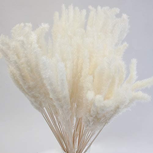 Pampas Grass Bunch 70cm Decorative Feathers Wedding Centrepiece Home Decor (Ivory)
