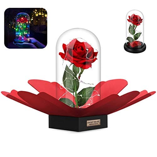 SWEET DIARY Beauty and the Beast Rose DIY Kit, Christmas Gifts, Mothers Day Gifts, Red Silk Rose with Fallen Petals and RGB+White Led light in a Glass Dome on Wooden Base for Valentine's Day