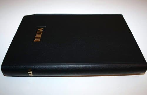 The Bible in Ewe Revised Version / Biblia / Ewe Bible 062 Vinyl Bound – January 1, 2008
