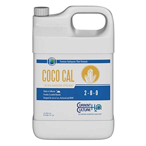 Coco Cal Quart
