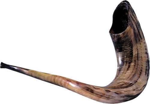 Schofar Jerusalem Shofar Kosher Rams Horn Polished Natural Chofar Showfar Jewish Sound Handcrafted Gift instrument Chofar