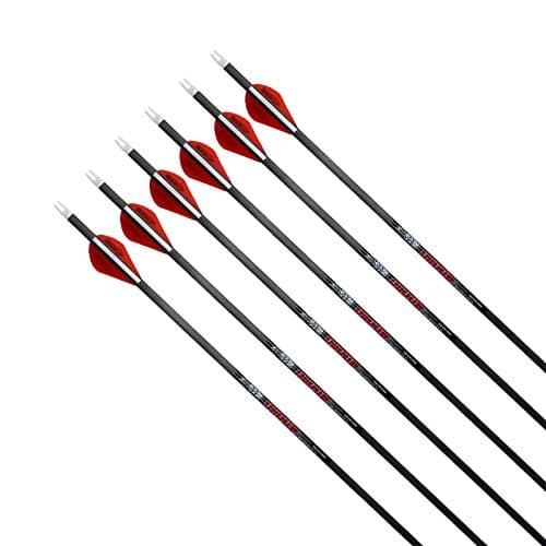 REEGOX Hunting Arrows for Compound Bows-100% Carbon Arrows for Recurve Bow Targeting Practice Archery Arrows with Removable Tips(Pack of 6)