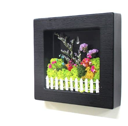 Scandia Moss Frame (black) for Air purification Removal of Sick House Syndrome Interior Hand-made