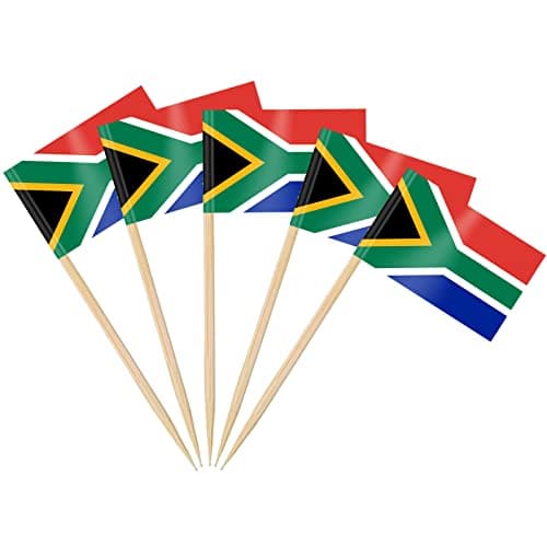 AhfuLife Pack of 100 South African Toothpick Flags, Cocktail Stick Flags for Sandwich Food Cupcake Toppers, Party Supplies Decor