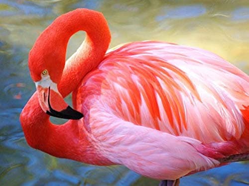 TSING DIY Crystals Paint Kit 5D Diamond Painting by Number Kits, Quiet Flamingo - 11x14.7 inches