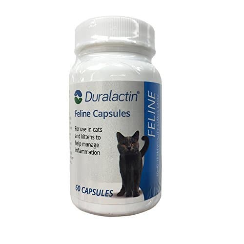 Veterinary Products Laboratories Duralactin Feline Nutritional Aid, 200mg by Veterinary Products